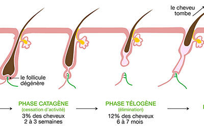 Les Cycles Pilaires